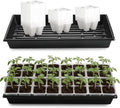5 Pack Heavy Duty 1020 Trays and 40 Pack Clear 4 Cell Seed Starter Trays with Drainage Holes - Reusable Seed Starter Kit for Seed Germination & Plant Propagation (5 Sets)