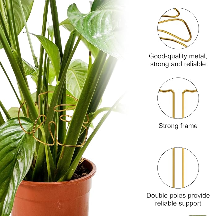 2pcs Monstera Shaped Supports for Growing Plants, Gold Climbing Houseplant Stem Supports Ring Reusable Leaf Plant Growth Accessories for Indoor & Outdoor Plants