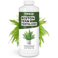 Boston Fern Fertilizer for Boston Fern, Great for Fluffy Ruffles, Dallas, and Compacta Fern Varieties, Liquid Fertilizer by TPS Plant Foods, 32 oz (1 Quart)