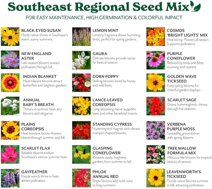 Grow Your Own Vibrant Annual and Perennial Wildflower Garden Seeds Mixture, Varieties for Pollinators and Spring Gardens - Southeast Regional Mix, 25 lbs