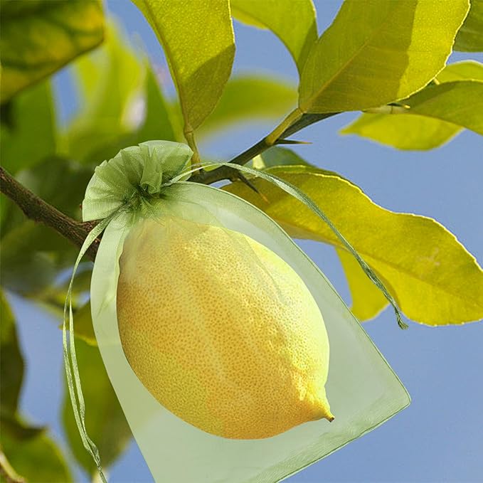 80 Pcs Fruit Protection Bags, 8 x12 Inch Fruit Tree Netting Mesh Bags Drawstring Reusable Green Bag for Fruits & Vegetables, Garden Netting Covers Pest Barrier for Grape Apple Pomelo