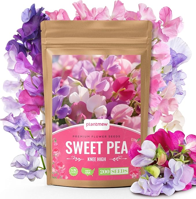 Sweet Pea Seeds 200 Seeds - Non-GMO Heirloom Seeds Brightly Colored Flowering Vines for Pergolas, Flower Beds, Balconies and Patios