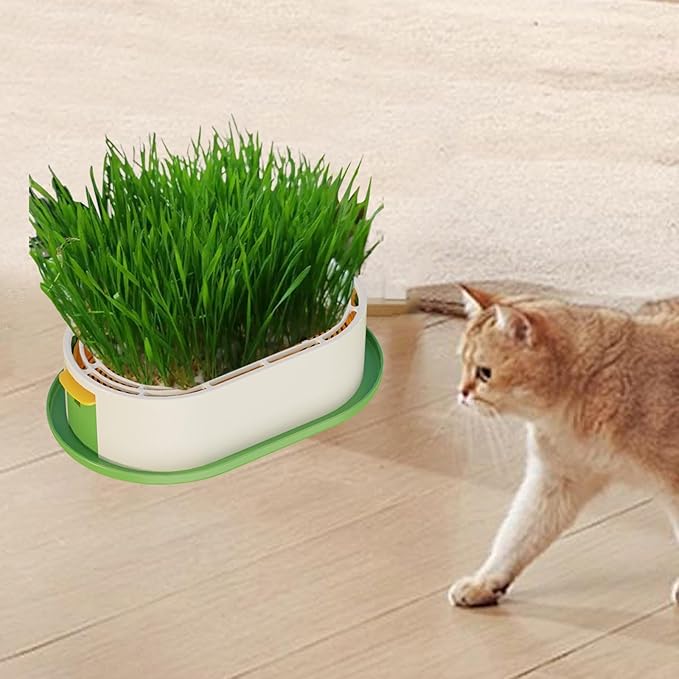 Cat Grass Germination Starter Planter Sprouting Tray Accessories for Soilless Planting Multifunctional Wheatgrass Growing Pot, Green and Yellow
