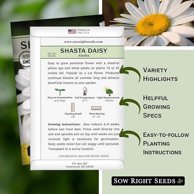 Sow Right Seeds - Shasta Daisy Flower Seeds for Planting - Non-GMO Heirloom Packet with Instructions - Attract Butterflies and Excellent for Cutting - White Blossom with Yellow Centers (3)