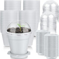 Domensi 80 Pcs 3 Cupcake Plant Nursery Pots with Humidity Dome and Saucer Small Plastic Gardening Pot Plant Containers Cups Seedling Planter Seed Starter Pots for Flower Succulent Indoor (White)
