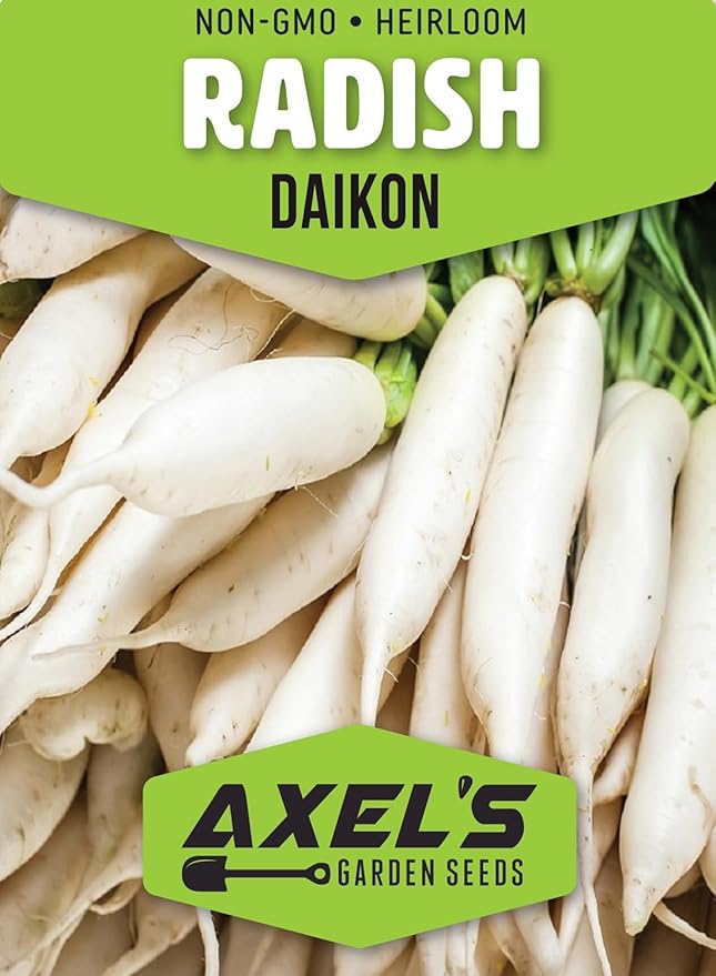 Japanese Daikon Radish Seeds for Planting - 100 Heirloom Non GMO Seeds - Full Planting Instructions to Plant & Grow a Home Vegetable Garden - Great Gardening Gift, 2 Packets