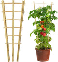 4 Pack 4 Feet Bamboo Trellis for Climbing Plants Outdoor, Taoskai Fan-Shape Garden Trellis for Tomatoes, Cucumbers, Peas, Flowers, Potted Plants, Plant Support