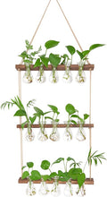 XXXFLOWER Wall Hanging Propagation Station with Wooden Stand 5 Bulb Vase 3 Tiers Planters Wall Terrarium for Home Office Plant Hanger Flower Vases Wall Decor(Brown)