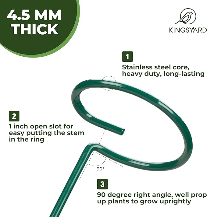 Kingsyard 10 Pack Plant Support Stakes - 4.5mm Thick Adjustable Sizes 16 or 32 Inch, Metal Plant Stakes for Indoor Plants or Outdoor Plants, for Garden Flowers Tomatoes Monstera