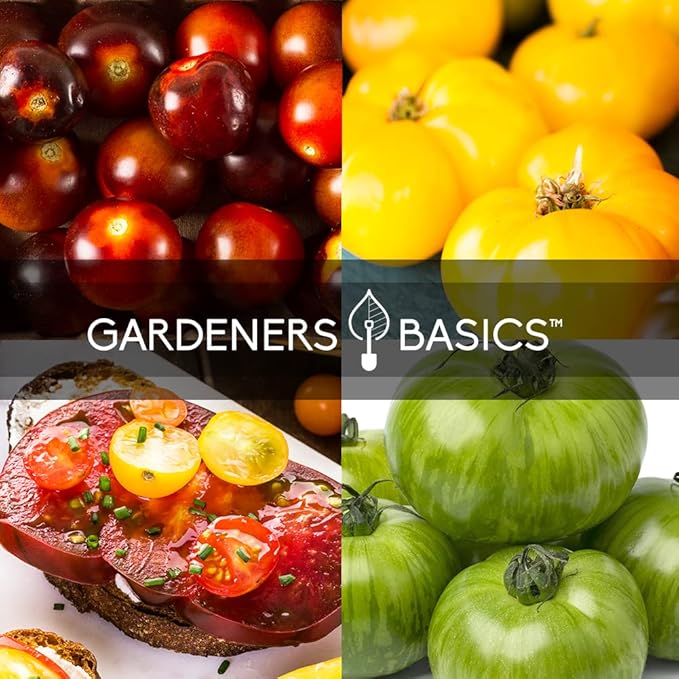 Gardeners Basics, 5 Rare Tomato Seeds for Planting Variety Pack Heirloom Tomato Seeds, Cherokee Purple, Black Krim, Pineapple, Green Zebra, Black Cherry, Determinate and Indeterminate & More, Non GMO