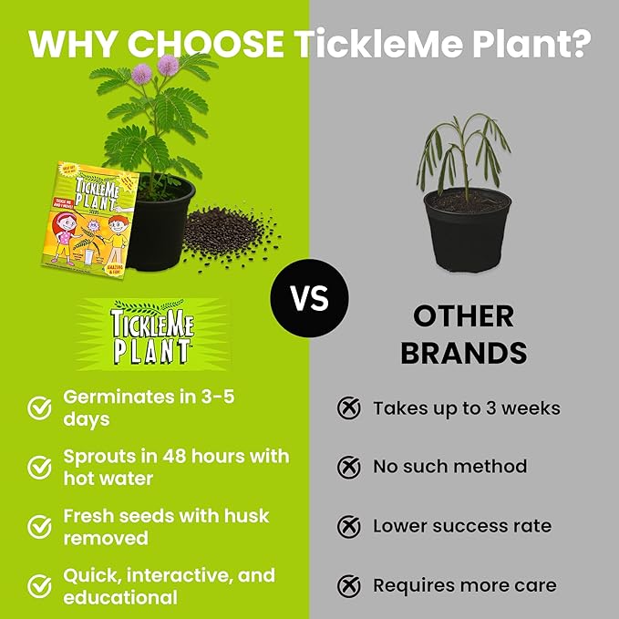 TickleMe Plant Deluxe Family Greenhouse Kit - Grow the Playful Plant that Closes Its Leaves When Tickled! Includes Mini Greenhouse, 3 Seed Packets, Soil Pellets & Pots - Fun Indoor Gardening Gift