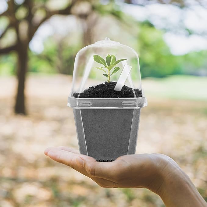 EBaokuup 30PCS Clear Plant Nursery Pots with Humidity Dome - 3" Durable Plastic Gardening Pot, Small Plant Container for Seedlings/Vegetables/Succulents/Cuttings
