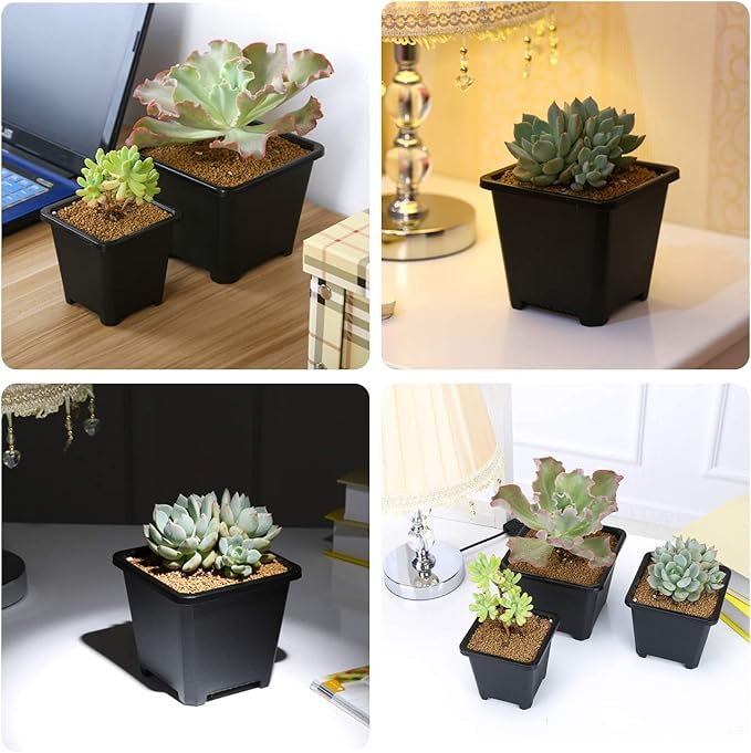 Plastic Plant Pots 100 Pack Square Nursery Pots 2.2 Inch Sturdy & Reusable Starter Container for Plants Starting Seedlings or Succulents, Black