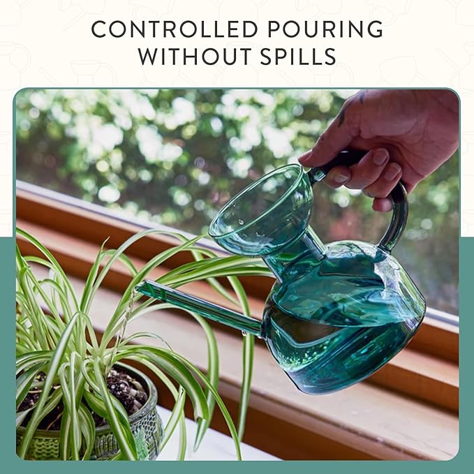 Modern Sprout Plant Watering Can - Handcrafted from Borosilicate Glass - Long Spout Vessel for Indoor Plants - 32 Oz Capacity - Multipurpose Watering Can and Flower Vase - Gift for Mother's Day (Teal)