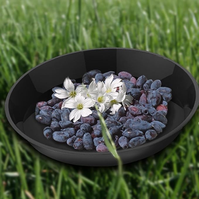 6 Pack Plant Saucer 4 6 8 10 12 14 16 18 20 22 Inch Plastic Plant Tray, Sturdy and Durable Flower Pot Container Accessories Plant Pot Saucers for Indoor and Outdoor (12 Inch, Black)