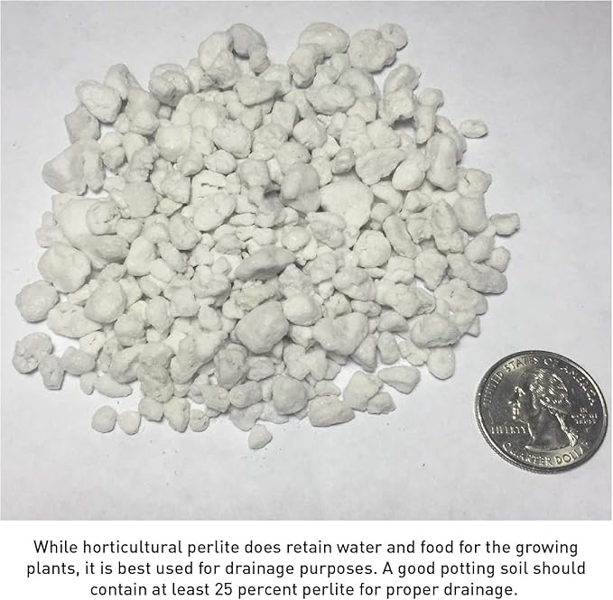 Organic Perlite Planting Soil Additive, White, 4-Cubic Feet