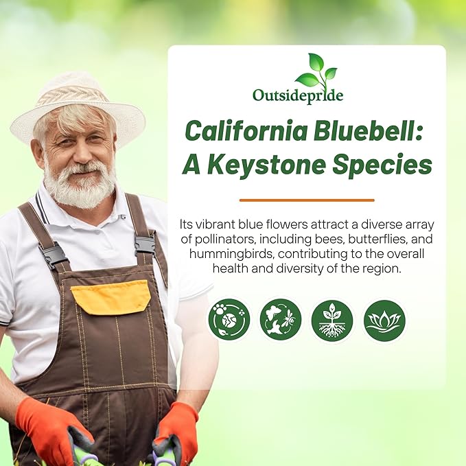 Outsidepride California Bluebell Wildflower Seeds - 1/4 Lb. Annual, Hardy, Easy-to-Grow, & Pollinator-Friendly Phacelia Campanularia Flower Seeds for Planting Vibrant Blue Blooms in Summer Gardens