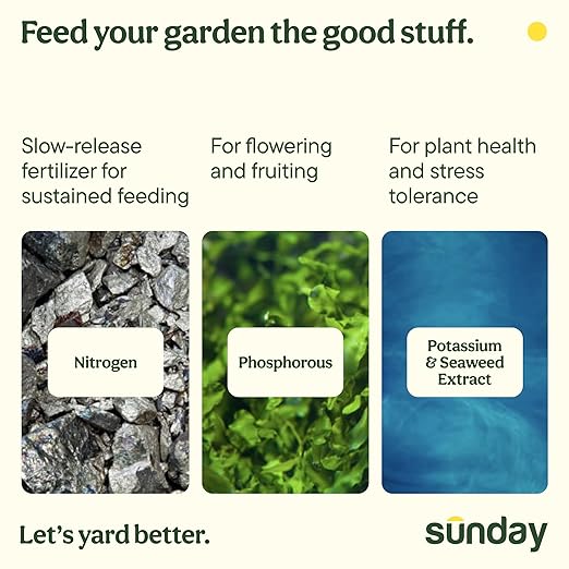 Sunday Wonderfert Flower Plant Food, Bigger Blooms for Roses, Annuals, Perennials, and Container Plants, 3-8-7 Liquid Concentrate, 32 fl oz, 500 sq ft
