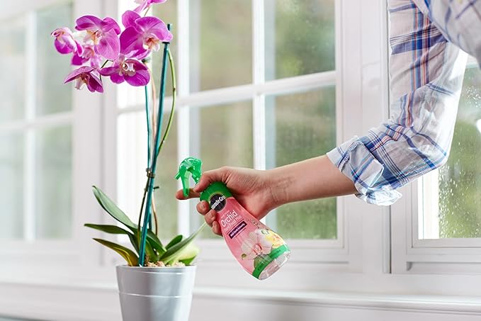Miracle-Gro Ready-To-Use Orchid Plant Food Mist, 8 oz., Orchid Food Feeds Plants Instantly, 2-Pack