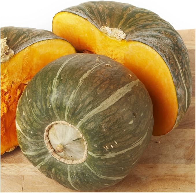 Seed Needs, Burgess Buttercup Winter Squash Seeds - 25 Heirloom Seeds for Planting Cucurbita Pepo - Non-GMO & Untreated to Plant a Home Grown Vegetable Garden (1 Pack)