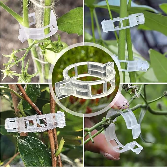 100Pcs 2025 Upgraded Plant Clip Secured Plastic Plant Clip for Climbing Plants, Plant Support Clips Tomato Clip for Climbing Plants Clips for Tomato Grape Vine Vegetables Plant Clips (300, White)