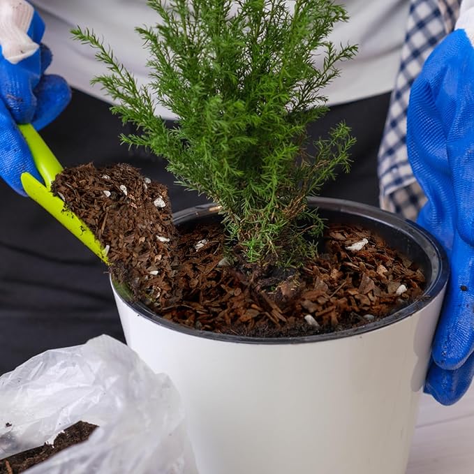 Bonsai Soil Mix Ready to Use (2qt), Premium Fast Draining Organic All Purpose Potting Mix for All Varieties of Bonsai