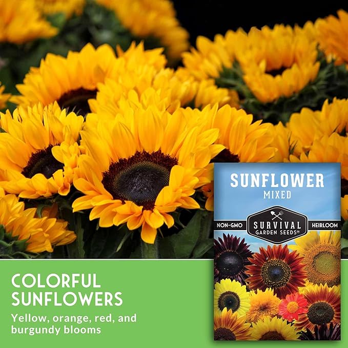 Mixed Sunflower Seeds for Planting | Colorful Blend of Heirloom Varieties for Cut Flowers & Pollinators – Heirloom Non-GMO – Survival Garden Seeds (1 Pack)