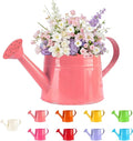 White Watering Can Metal, 1 Gallon Matte Galvanized Metal Watering Can, Vintage Sprinkling Tin Watering Can for Indoor Outdoor Plants, Flowers Garden Indoor Outdoor (Pink)