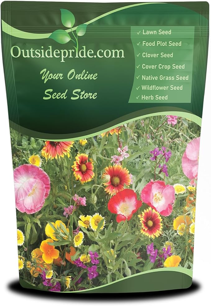 Outsidepride Southwest Wild Flower Seed Mix - 1/4 lb. Heat & Drought Tolerant Premium Blend of Annual & Perennial Wildflower Seeds for Planting on Outdoor Lawns & Gardens from Spring to Fall