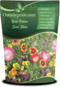 Outsidepride Southwest Wild Flower Seed Mix - 1/4 lb. Heat & Drought Tolerant Premium Blend of Annual & Perennial Wildflower Seeds for Planting on Outdoor Lawns & Gardens from Spring to Fall