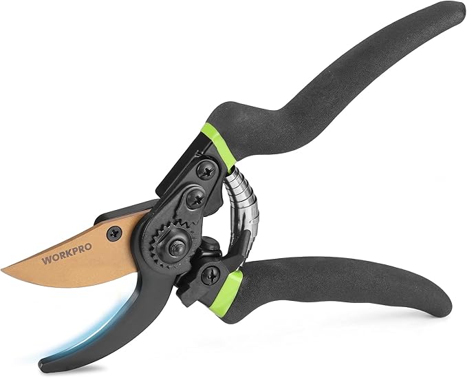 WORKPRO 8.5" Bypass Pruning Shears, Professional Garden Shears with Sharp SK5 Blade, Garden Clippers, Hand Pruner for Branches, Flowers, Fruits, Plants, Bonsai, Effortlessly Prunes 3/4" Branches