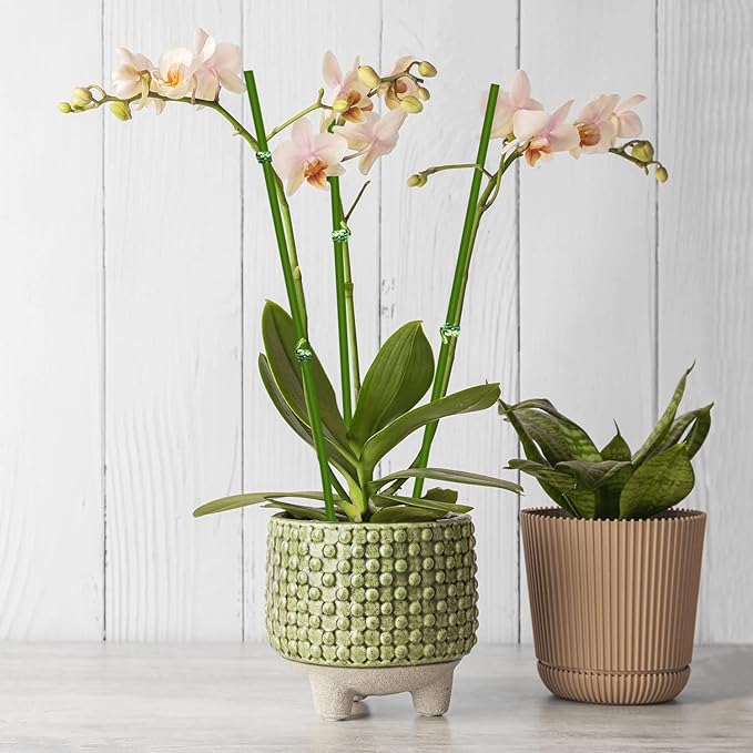 20Pcs Plant Stakes,Plant Sticks,Garden Green Bendable Single Stem Plant Support Stakes for Indoor and Outdoor Plants,Potted Plants,Flowers Orchid Peony Rose-16 Inches