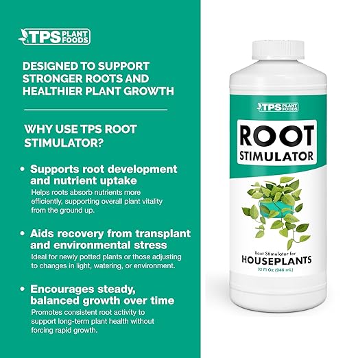 Root Stimulator for Houseplants – Liquid Root Supplement with Kelp & Probiotics for Stronger Roots & Better Nutrient Uptake, 32 oz