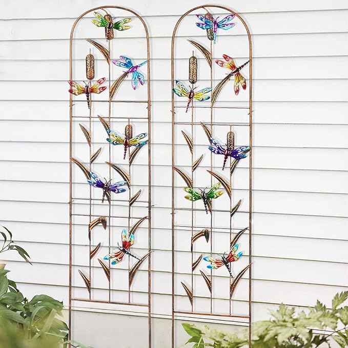 2 Pack Metal Garden Trellis with Colorful Dragonfly 60 Inch High Outdoor Decoration Arched Fence Trellis for Climbing Plants for Patio, Lawn, Yard, Backyard, Wall Brackets