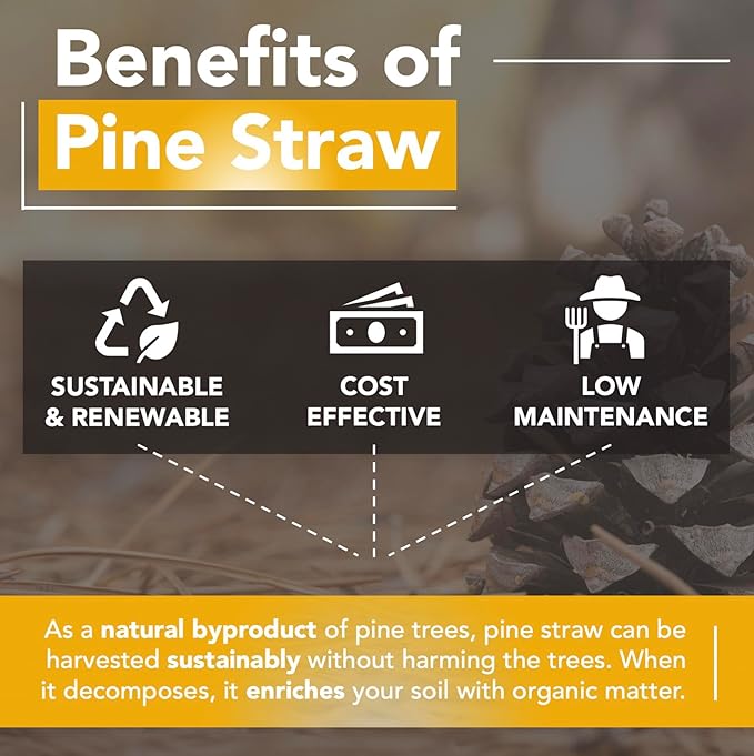 Premium 8 Pounds Pine Straw Mulch for Landscaping, Organic Material Made from Authentic Pine Needles Ideal for Gardening, Soil Moisture Retention.