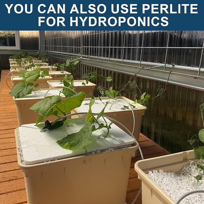 Horticultural Perlite Plants 1qt, Chunky Perlite Bulk for Gardening, Soil Amendments to Improve Soil Aeration & Dranage for Houseplant