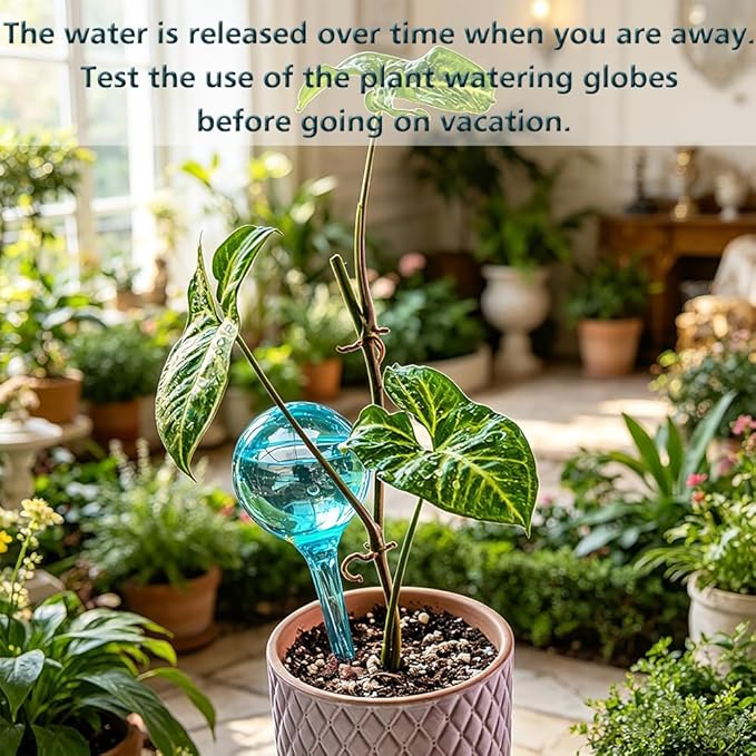 Plant Self Watering Globes, Large 12pcs Flower Automatic Watering Bulbs, Plastic Plant Flower Self Watering Devices, Garden Self Watering Planter Insert for Daily Vocation Watering, Forgetful Gardener