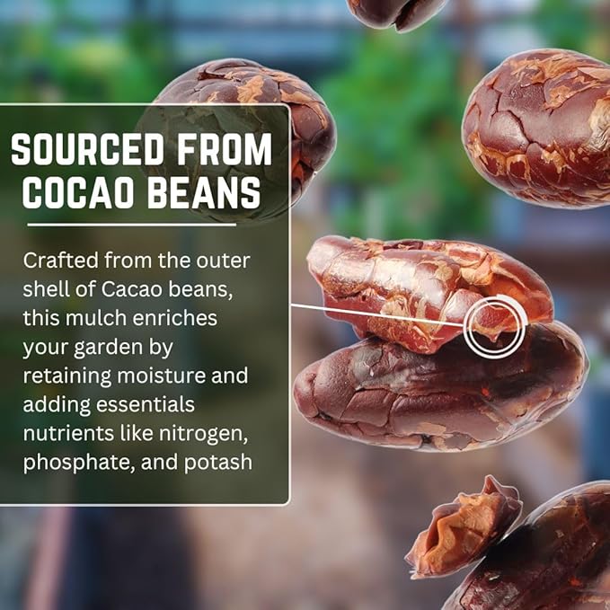 [4 Quarts] Cocoa Mulch for Plants, Garden, Flower Beds, Indoor & Outdoor Plants - Organic Cocoa Bean Shell Mulch | Moisture Retaining, Weed Preventing, Landscaping Mulch