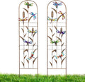 2 Pack Metal Garden Trellis with Colorful Dragonfly 60 Inch High Outdoor Decoration Arched Fence Trellis for Climbing Plants for Patio, Lawn, Yard, Backyard, Wall Brackets