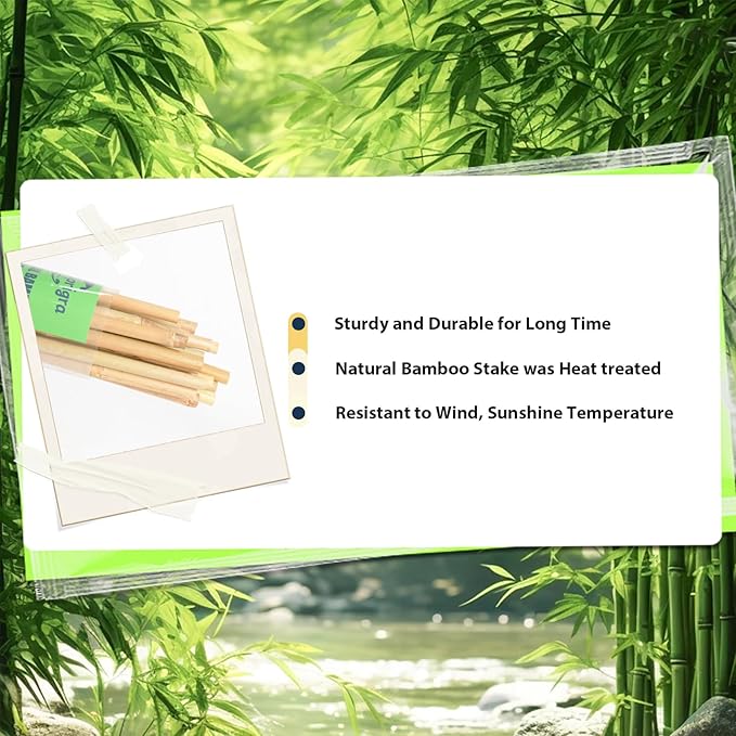 Bamboo Stakes 3 FT 30pcs, 36 inch Garden Stakes Multi-Purpose, Bamboo Plant Support Stakes for Tomatoes, Beans, Peppers, Flowers, Potted, Maintain the Plant Posture, Strengthen and Stem