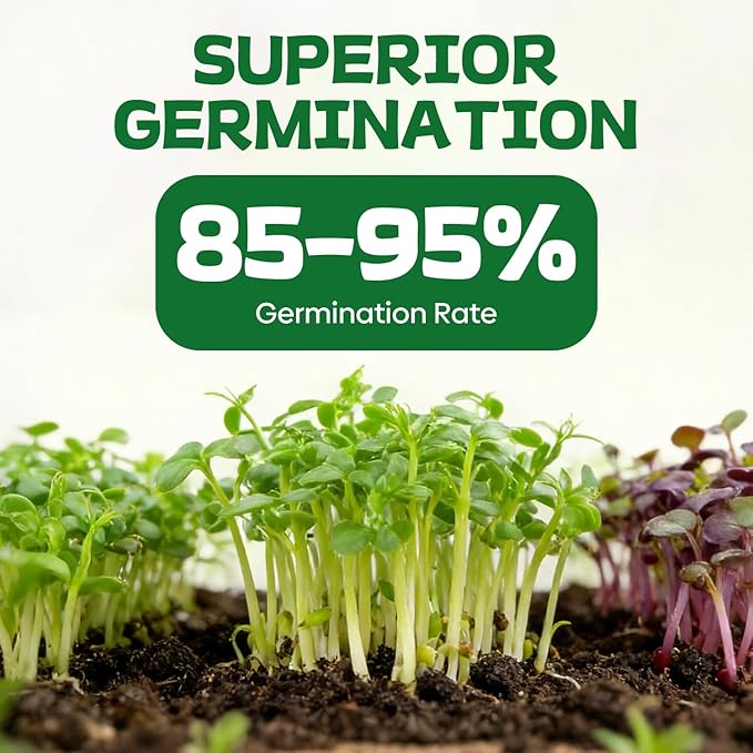 37 Vegetable Seeds - 18,000+ Non GMO Heirloom Home Garden Seeds for Planting Vegetables Indoor and Outdoors, Fruit and Vegetable Seeds Variety Pack with Tomato, Basil, Cucumber, Lettuce and More