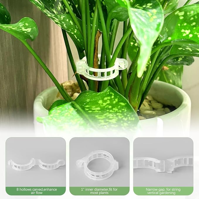 100 Pcs Plastic Plant Clip, Plant Support Clips for Support Tomato Grape Vine Vegetables, Reusable Trellis for Climbing Plants Outdoor, Plant Wall Clips to Grow Upright Makes Plants Healthier