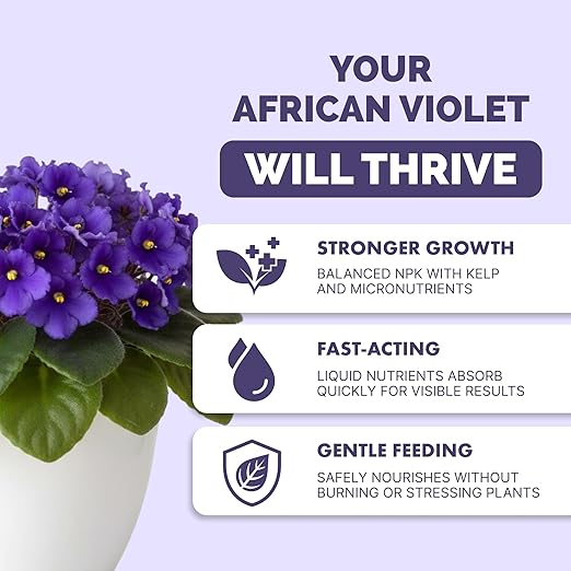 African Violet Fertilizer – Liquid Plant Food for More Blooms, Rich Green Leaves & Healthy Root Development, 32 oz