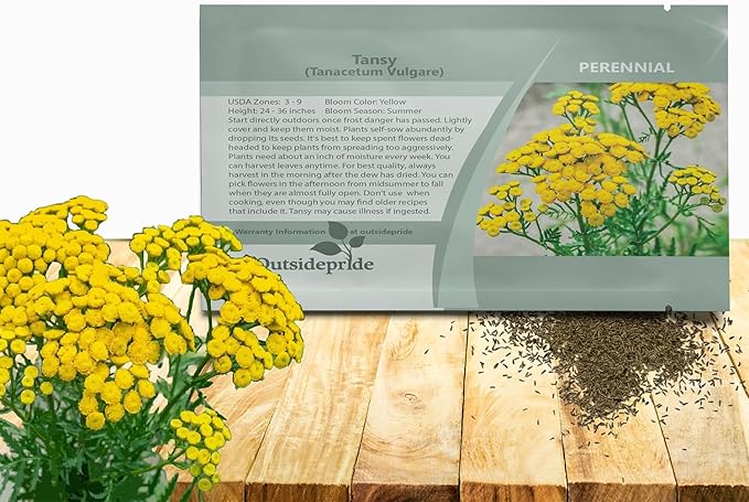 Outsidepride Tansy Seeds - 5000 Pcs. Perennial, Easy to Grow & Low Maintenance, Herb Seeds for Planting Aromatic & Vibrant Yellow Button-Like Blooms, Great for Versatile Uses & Pollinator Gardens