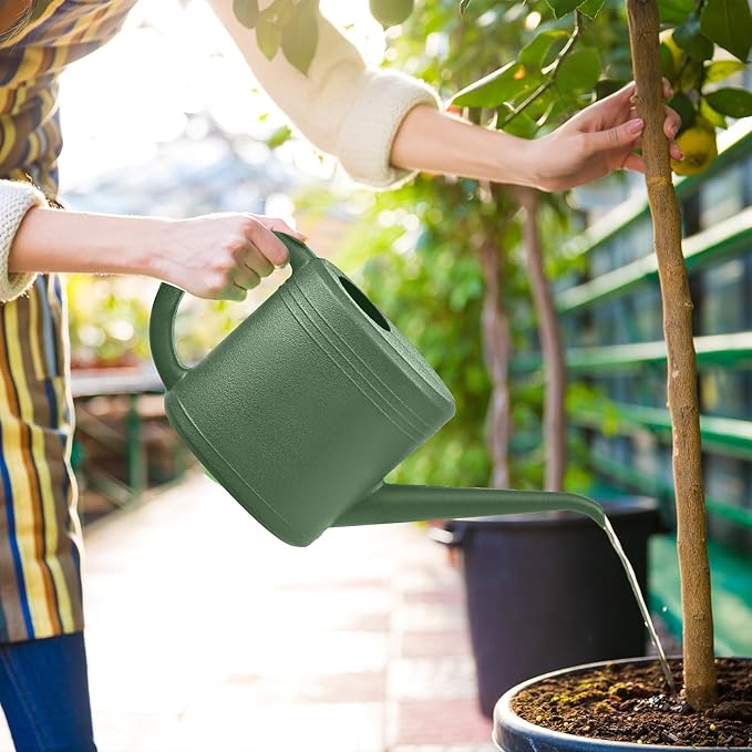 Watering Can for Garden Indoor Plants Outdoor Plant House Flower - 1/4 Gallon - Green