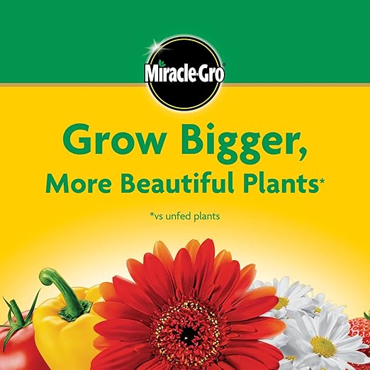 Miracle-Gro Water Soluble All Purpose Plant Food - Fertilizer For All Indoor or Outdoor Plants including Roses, Flowers, Vegetables, Houseplants, Trees, and Shrubs, 6.25 lbs.