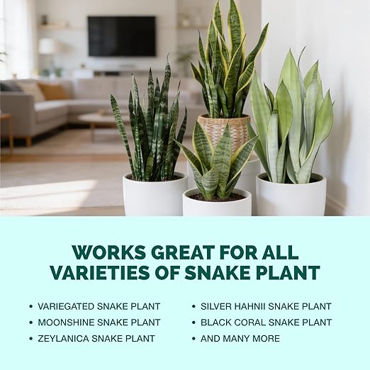 Snake Plant Fertilizer – Liquid Plant Food for Upright Growth, Strong Roots & Rich Green Leaves, 8 oz
