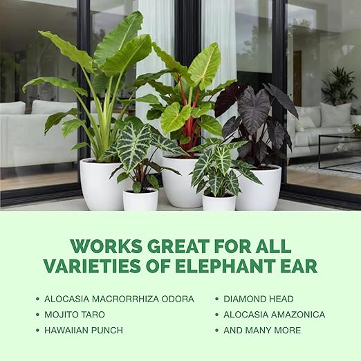 Elephant Ear Fertilizer – Liquid Plant Food for Bigger Leaves, Lush Growth & Stronger Roots, 8 oz