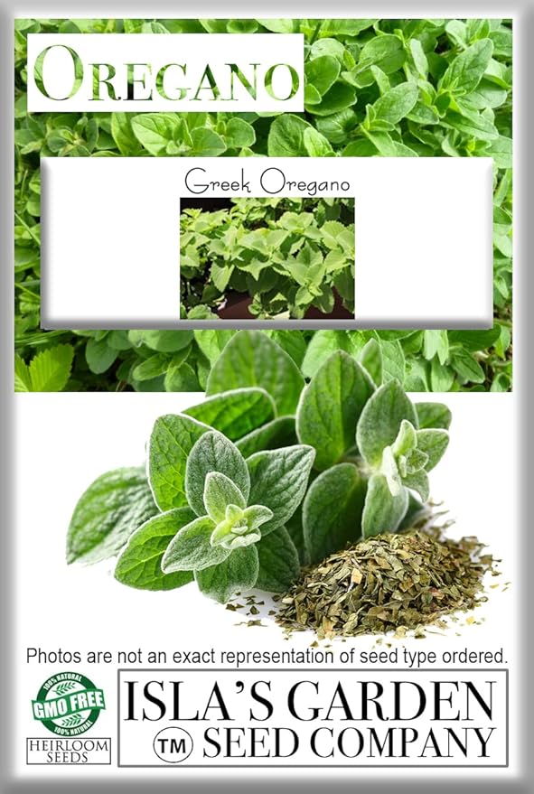 Greek Oregano Herb Seeds for Planting, 2500+ Seeds Per Packet, (Isla's Garden Seeds), Non GMO & Heirloom Seeds, Botanical Name: Origanum vulgare, Great Herb Garden Gift