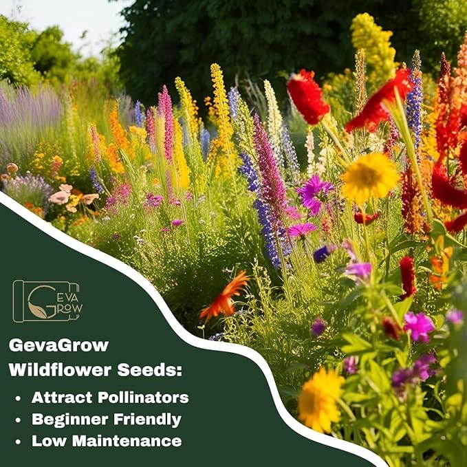 Perennial Wildflower Seeds – GevaGrow 1oz Packet Covers 100 Sq Ft | 20 Species of Non-GMO, Organic Flowers | High Germination, Pure Seed Mix for Outdoor Planting, Gardens, Pollinators & Bees